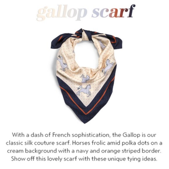 CAbi gallop silk scarf. Style # 5274 EUC - Picture 1 of 12